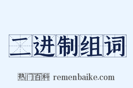 二进制组词是什么意思的图片